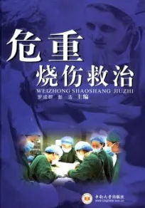 危重烧伤救治
