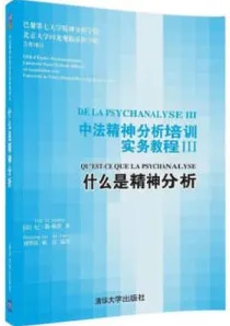 中法精神分析培训实务教程 Ⅲ 什么是精神分析