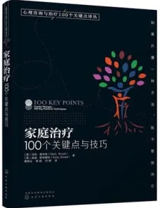 家庭治疗 100个关键点与技巧