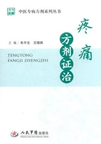 疼痛方剂证治 中医专病方剂系列丛书