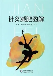 针灸减肥图解