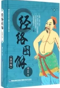 经络图解 第4版