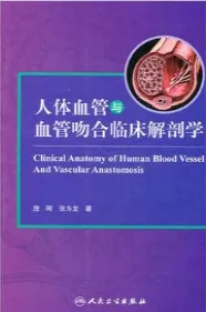 人体血管与血管吻合临床解剖学