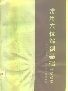 常用穴位解剖基础 针灸必读