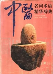 中医名词术语精华辞典