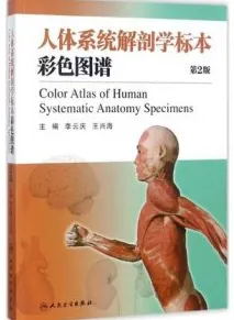 人体系统解剖学标本彩色图谱 第2版