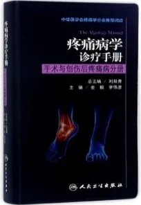 疼痛病学诊疗手册 手术与创伤后疼痛病分册