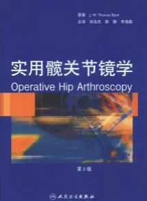 实用髋关节镜学 （第2版）