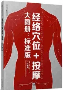 经络穴位+按摩大图册 标准版