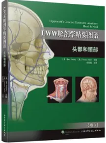 LWW解剖学精要图谱 头部和颈部