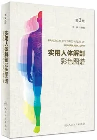 实用人体解剖彩色图谱 第3版