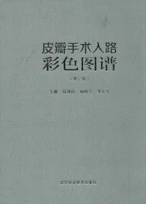 皮瓣手术入路彩色图谱 第2版