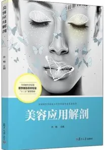 美容应用解剖