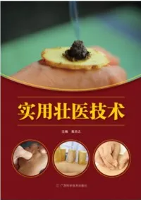 实用壮医技术