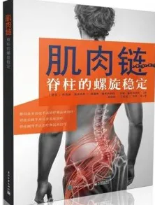 肌肉链 脊柱的螺旋稳定