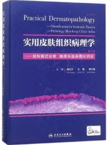 实用皮肤组织病理学 结构模式分类 病理与临床图片对应 第2版