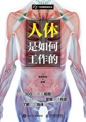 人体是如何工作的
