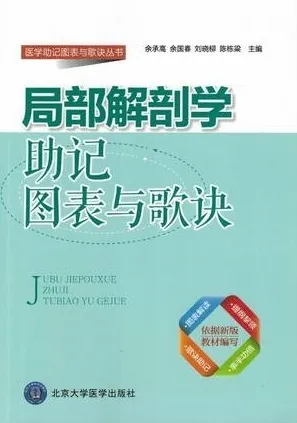 局部解剖学助记图表与歌诀