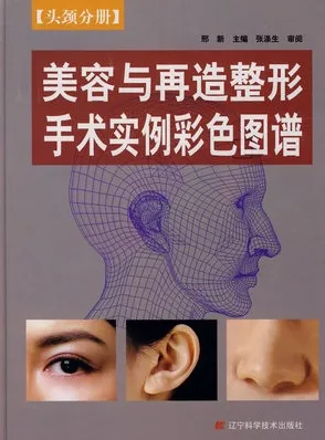 美容与再造整形手术实例彩色图谱 头颈分册