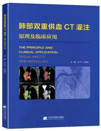 肺部双重供血CT灌注原理及临床应用