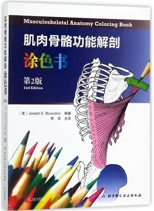 肌肉骨骼功能解剖涂色书 第2版