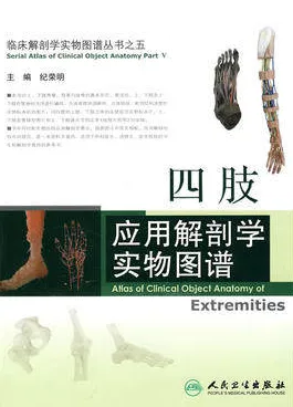 四肢应用解剖学实物图谱