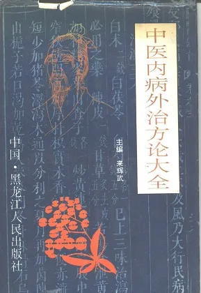 中医内病外治方论大全