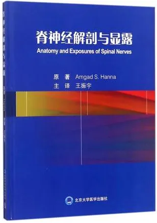 脊神经解剖与显露
