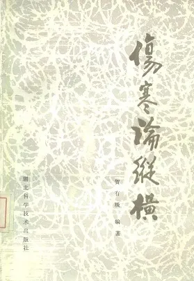 伤寒论纵横