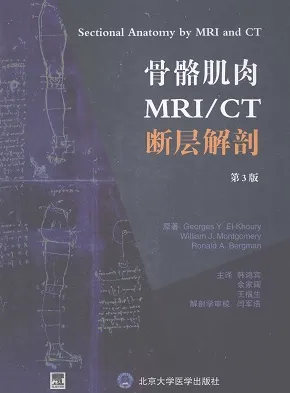 骨骼肌肉MRI CT断层解剖 第3版