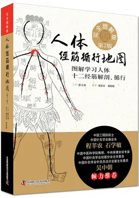 人体经筋循行地图 第2版