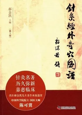 针灸经外奇穴图谱 第3版