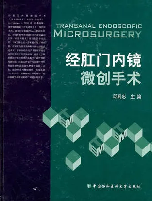 经肛门内镜微创手术