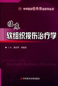 临床软组织损伤治疗学