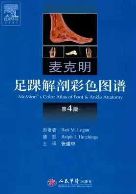 麦克明足踝解剖彩色图谱 第4版