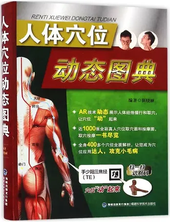 人体穴位动态图典