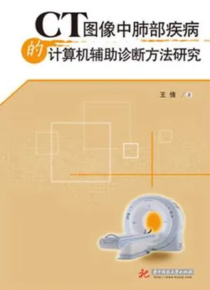 CT图像中肺部疾病的计算机辅助诊断方法研究