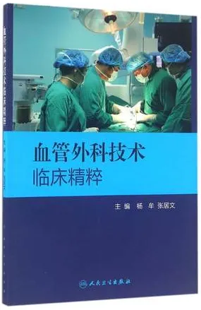 血管外科技术临床精粹