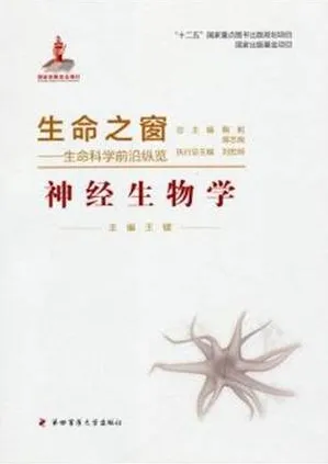 生命之窗 生命科学前沿纵览 神经生物学