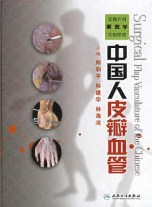 显微外科解剖学实物图谱 中国人皮瓣血管
