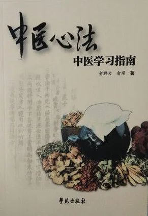 中医心法中医学习指南