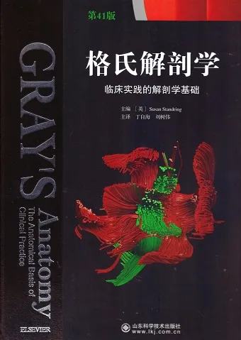 格氏解剖学 临床实践的解剖学基础 中文第41版