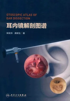耳内镜解剖图谱