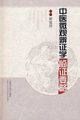 中医微观辨证学临证要略