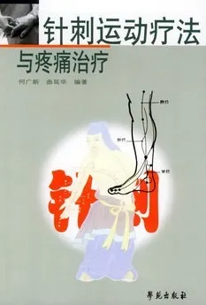 针刺运动疗法与疼痛治疗