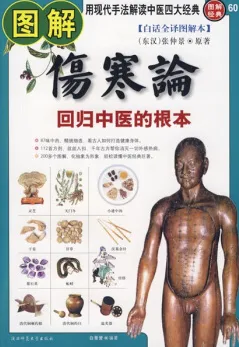 图解伤寒论：回归中医的根本