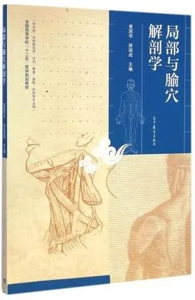 局部与腧穴解剖学