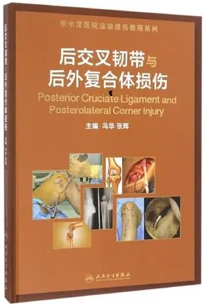 后交叉韧带与后外复合体损伤
