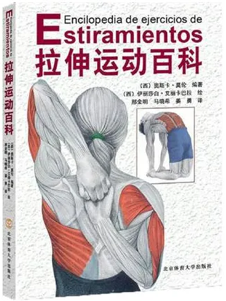 拉伸运动百科