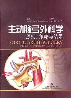 主动脉弓外科学 原则、策略与结果